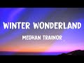 Miniature de la vidéo de la chanson Winter Wonderland