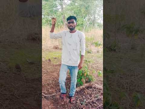 Jeena Na Lage Bin Tere Yaara😍#film song Bajagwale 😍#shortvideo #viral 😍