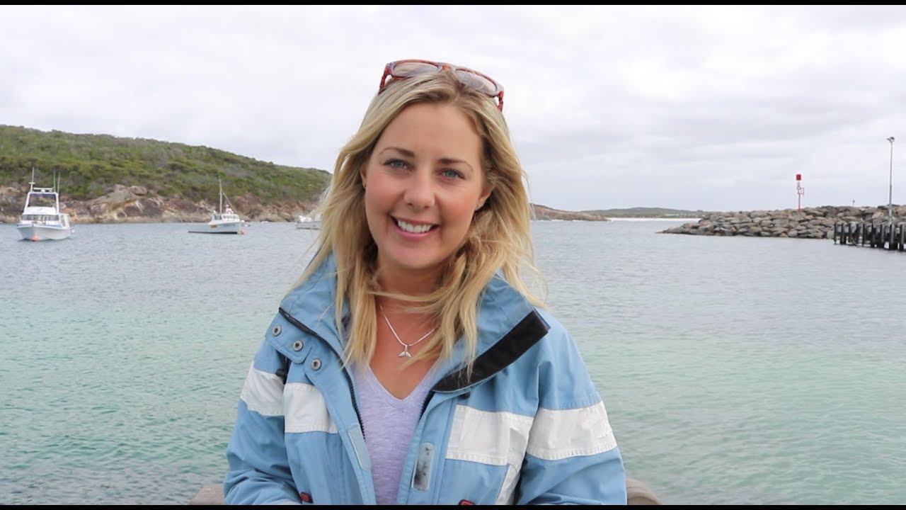 Support Project ORCA and Killer Whale Research in Australia