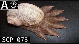 SCP-075 "Corrosive Snail" [SCP Wikidot]