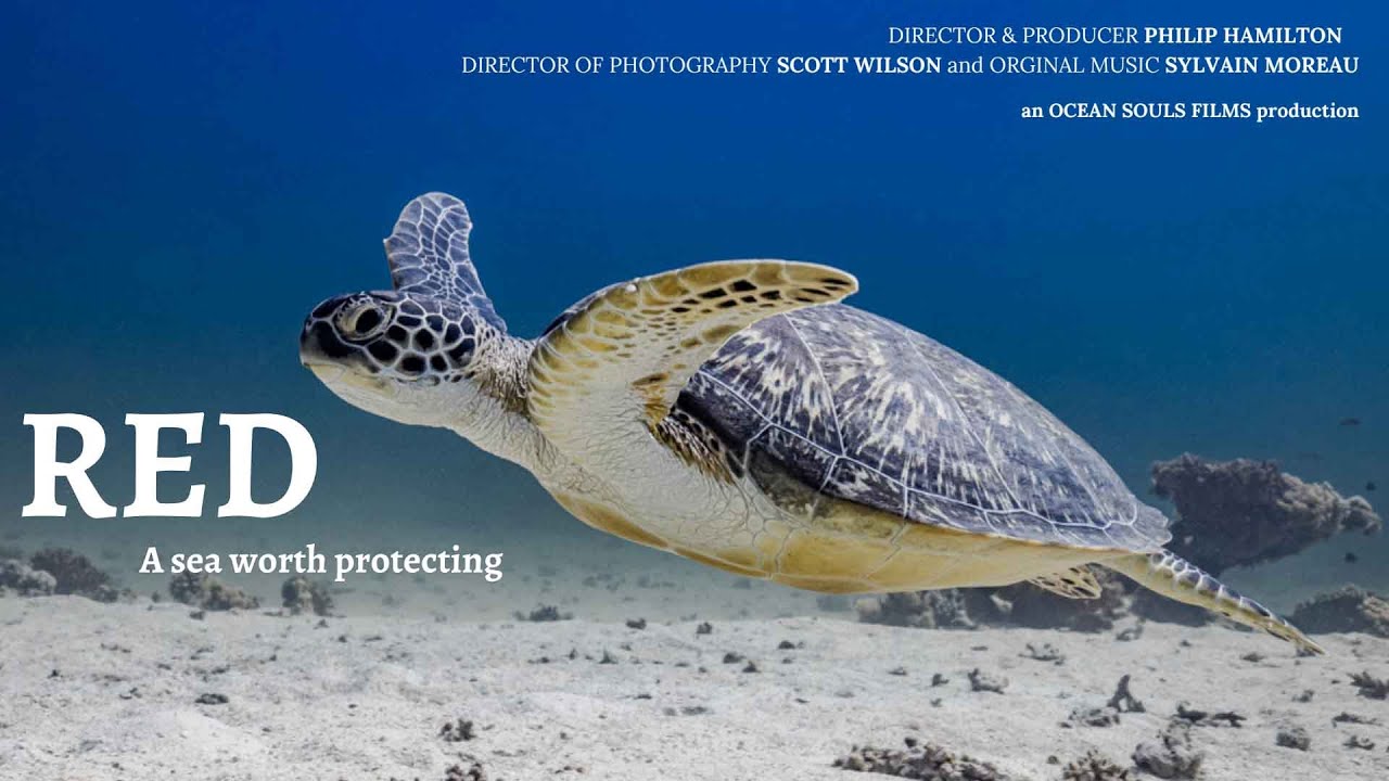 Film backdrop image for Red: A Sea Worth Protecting (2024)