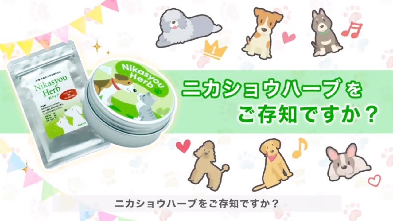 ニカショウハーブ for Pets | 獣医さんが自分の犬や猫にも使っ