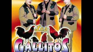 Los Gallitos de Chiahuahua - El indio enamorado