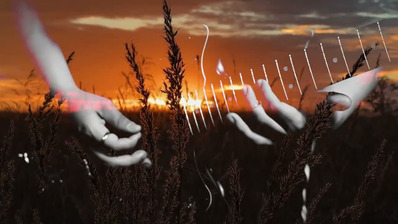 'All the Dents' Lyric Video
