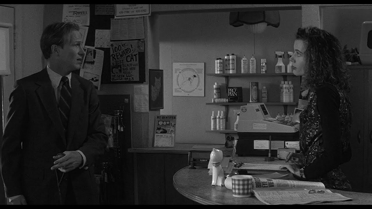 The Accidental Tourist (1988) - William Hurt, Geena Davis - if you're desperate