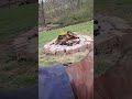 always nice to have a fire