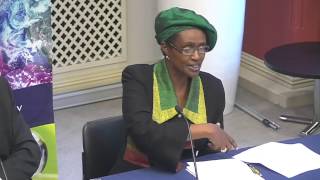 'African Futures: navigating a profound transition' - panel discussion