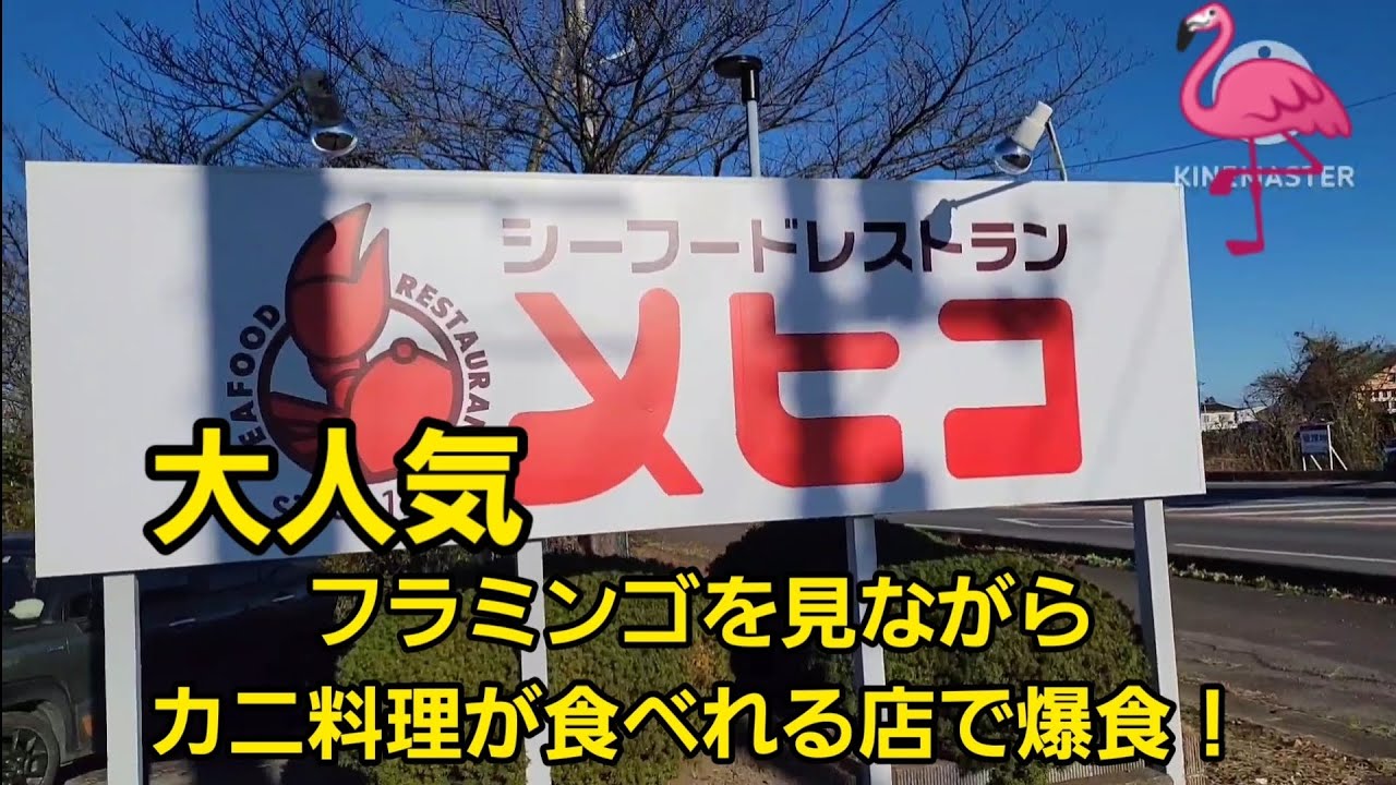 大人気 シーフードレストラン【メヒコ】でカニ三昧コースを爆食!🦩本年もご視聴下さりありがとうございました。 - YouTube