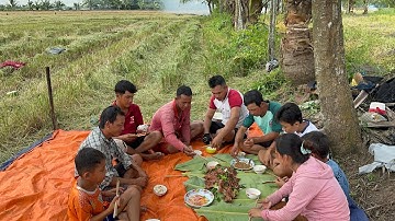 Chuột đồng nướng Sa Tế Trải nghiệm bắt chuột mùa gặt lúa cùng anh em # 351