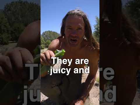ვიდეო: როგორ დარჩეს დატენიანებული უდაბნოში: 14 ნაბიჯი (სურათებით)