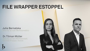 IP Insights: File wrapper estoppel (2023)