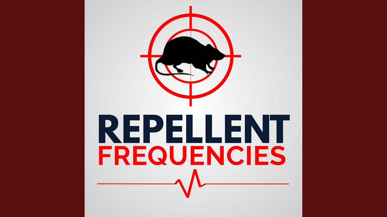 Ultrasonic Rat Repellent YouTube