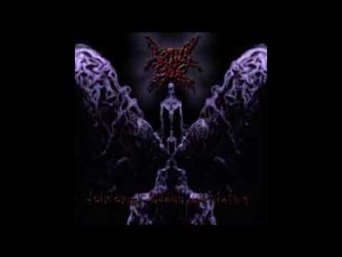 Septycal Gorge — Septycal Gorge - Delivering Hidden Mutilation - (2005) - [Full Ep]
