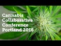 Inside a Cannabis Conference: Back Stage Pass