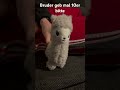 Bruder geb mal 10er bitte #Leiers