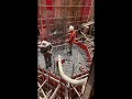 how to pouring concrete for pile cap correct way#construction #shorts #building #civilengineering