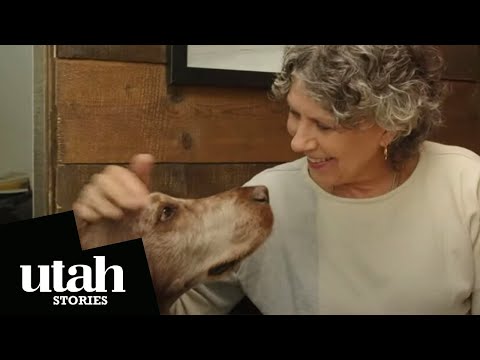 Inside Utah’s Raw Dog Food Movement with Alexis Butler