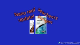 Nano Reef update! Seachem purigen!