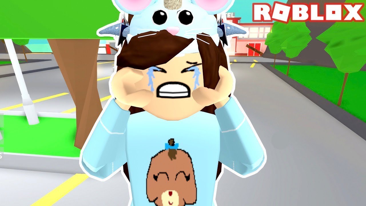teddy