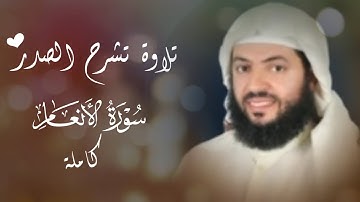 تلاوة تشرح الصدر من روائع تلاوات الشيخ وديع اليمني || سورة الأنعام كاملة 🍃