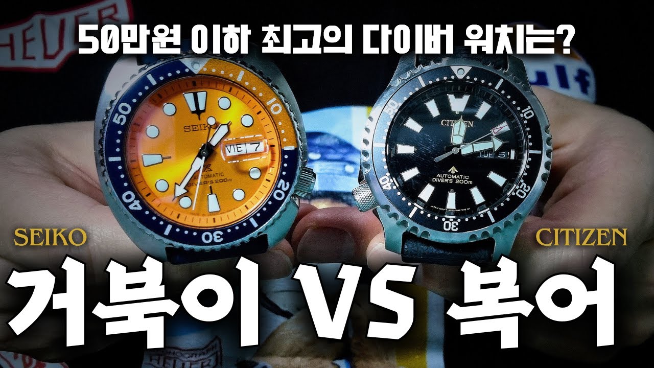 Sakeo Turtle & Citizen FUGU