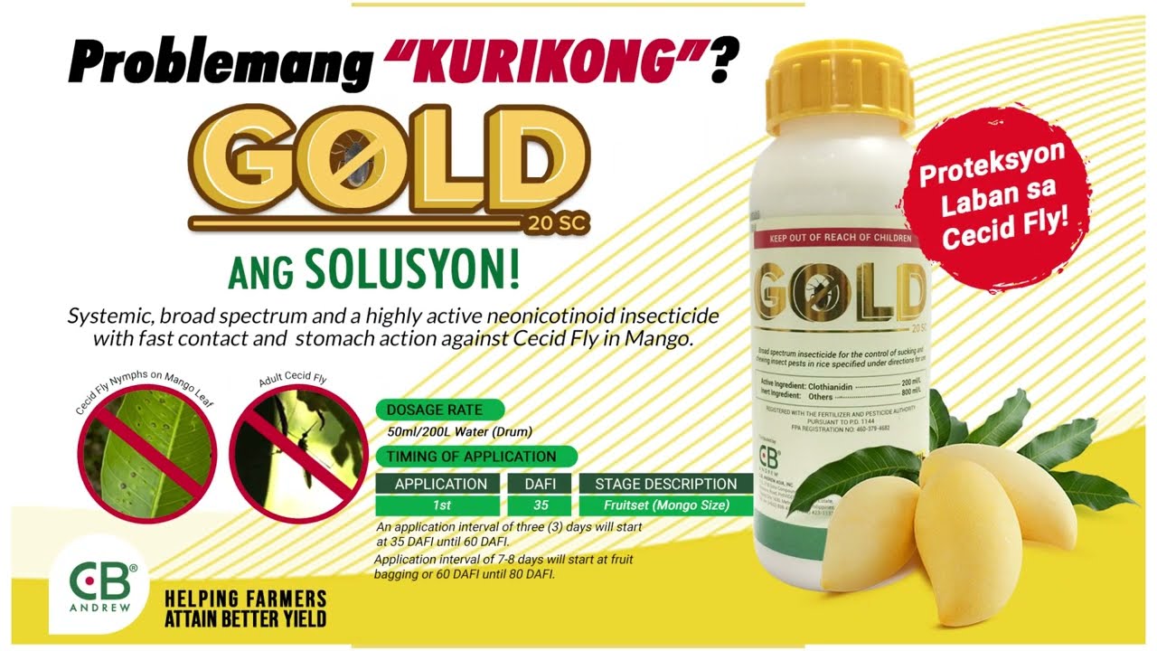 Paano Kontrolin Ang Kurikong o Pesteng Cecid Fly sa Manggahan? Gold 20 SC