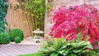 Simple Garden Ideas On A Budget Uk