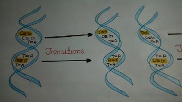Substitution mutation