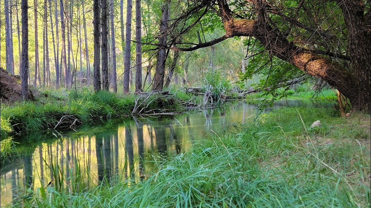 Rio Escabas el rio esmeralda