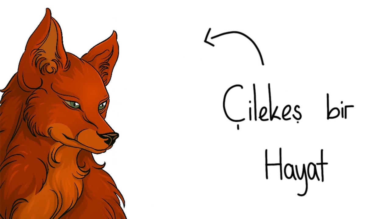 Eğer Bir Tilki Olarak Doğsaydın?