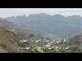 اجمل قصيدة عن العود 