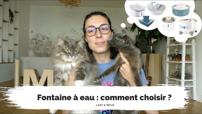 Fontaine a Eau Chat GIOTOHUN, Fontaine à Eau pour Chat avec Forme