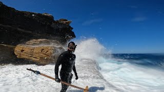 Sydney Spearfishing with Justin Ewan and Josh Ku Dec 22