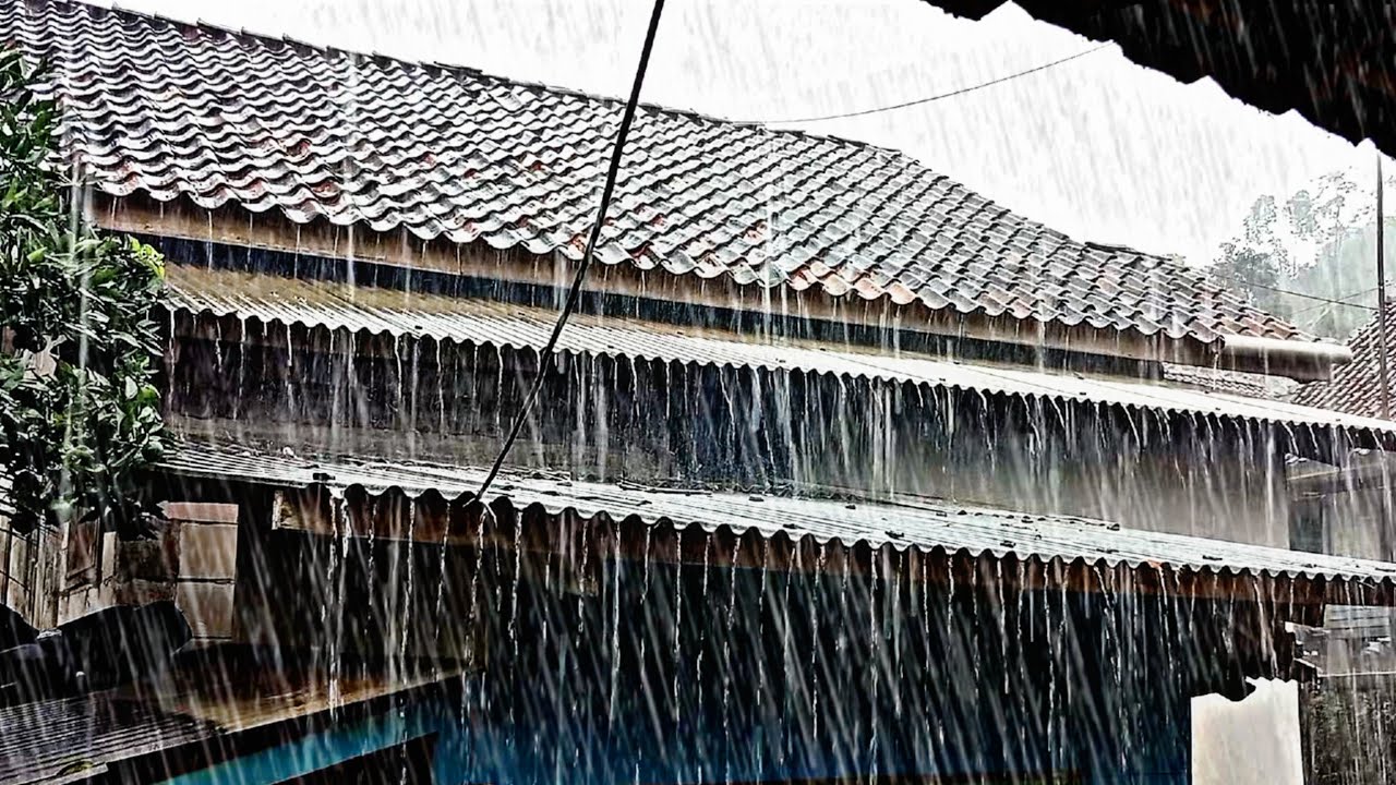 Сильный дождь идеально подходит для медитации, снятия стресса и создания успокаивающей атмосферы во