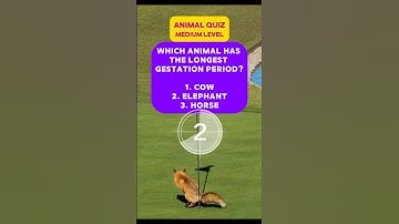 Animal Quiz 3🐾 | Can You Get Them All Right?