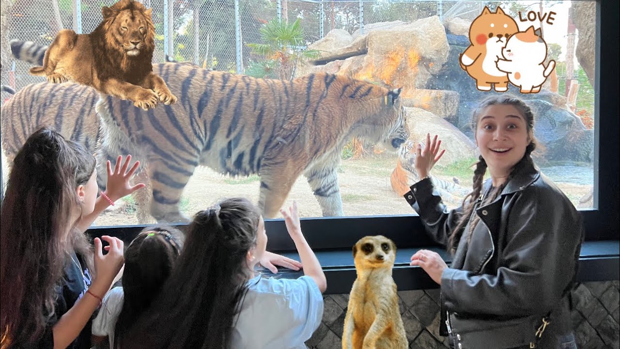 Zoopark’da Bir Gün | Çox maraqlı heyvanlar gördük😍