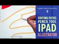 Illustrator on the iPad - Editing Pencil Tool Paths