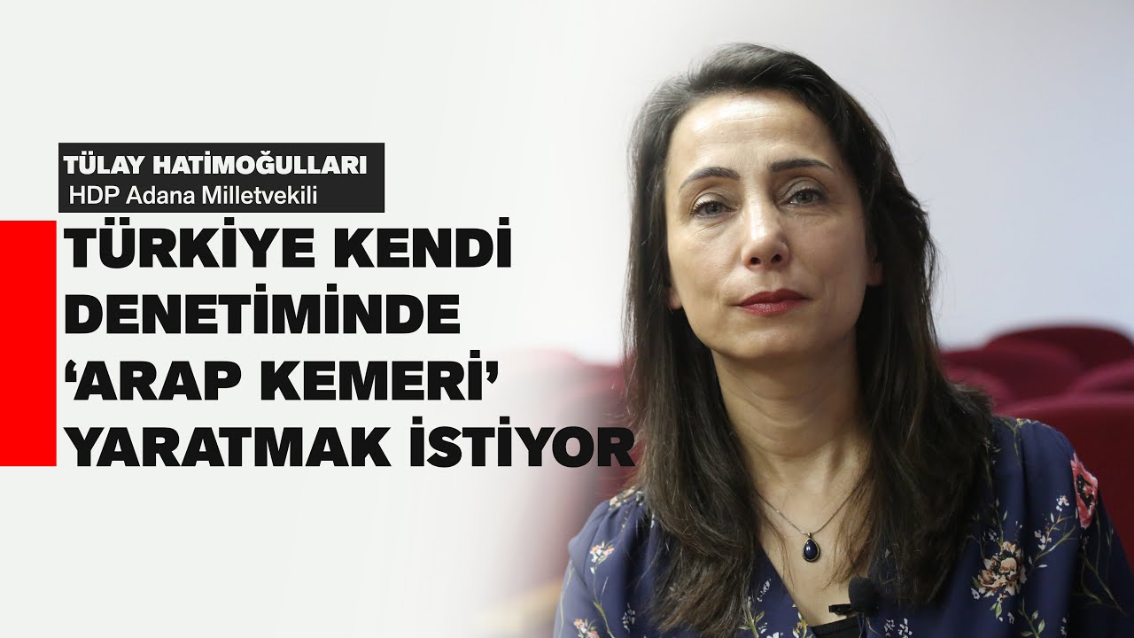 HATİMOĞULLARI: TÜRKİYE KENDİ DENETİMİNDE ‘ARAP KEMERİ’ YARATMAK İSTİYOR
