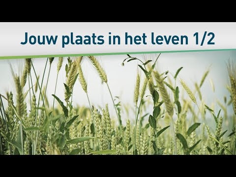 Video: Wat Beteken Die Evangeliese Gelykenis Van Die Onkruid?