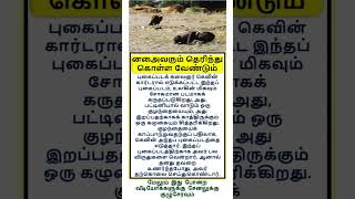 Most brilliant gk ✨question #tamilgk #tamilsong #tamilshorts #shorts #short #gk #tamilnadu #tamil