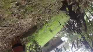 inverted rappel #2