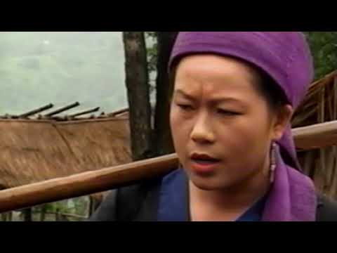 Siv Yis Hmong Movie