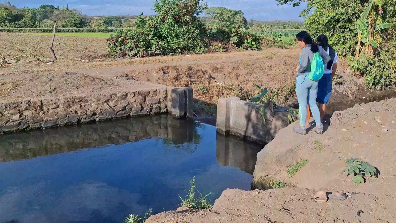 Que bonito es caminar por el campo. 