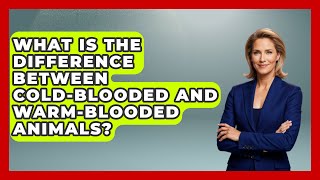 What Is the Difference Between Cold-Blooded and Warm-Blooded Animals | Reptilian Wonders