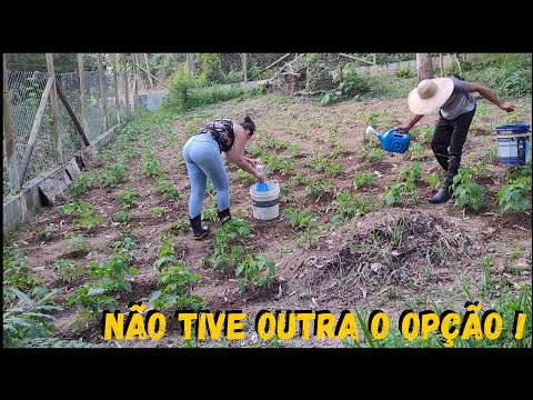 Tive que levar ÁGUA urgente para o Terreno  #rural @TILAPIAMinhaVida #sustainability