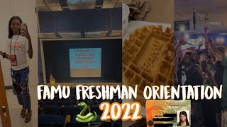 famu freshman orientation!  #babyrattler