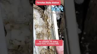 Termites baits Station to eliminates termites #termitesbait #nxtcoatings #siteinsights #shorts