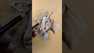 drawing goat #shorts