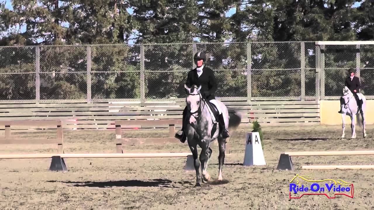 091D Samantha Bergin on Loki Open Preliminary Dressage Woodside October 2014