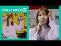 crescentの花(クレッセントの花)11/222、2曲。♪buzzer beat  ♪LOVE BLOSSOM    (2022.11.22、ドン・キホーテ梅田本店)